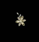 Small Gold Rhinestone Pearl Opal Flower Brooches